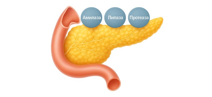 ПАНКРЕАТИТ